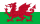 Wales’ flagg
