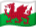 Wales’ flagg