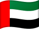 De forente arabiske emiraters flagg