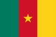 Kameruns flagg