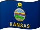 Kansas' flagg