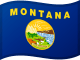 Montanas flagg