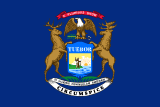 Michigans flagg